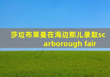 莎垃布莱曼在海边那儿录取scarborough fair